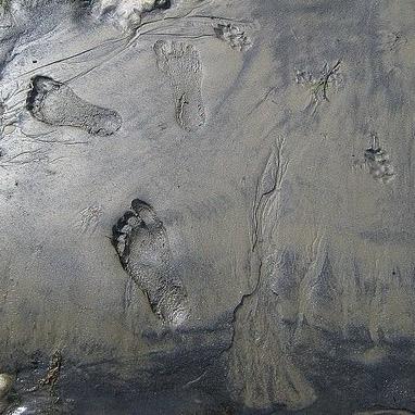 當她愛我的時候我沒有一點力量