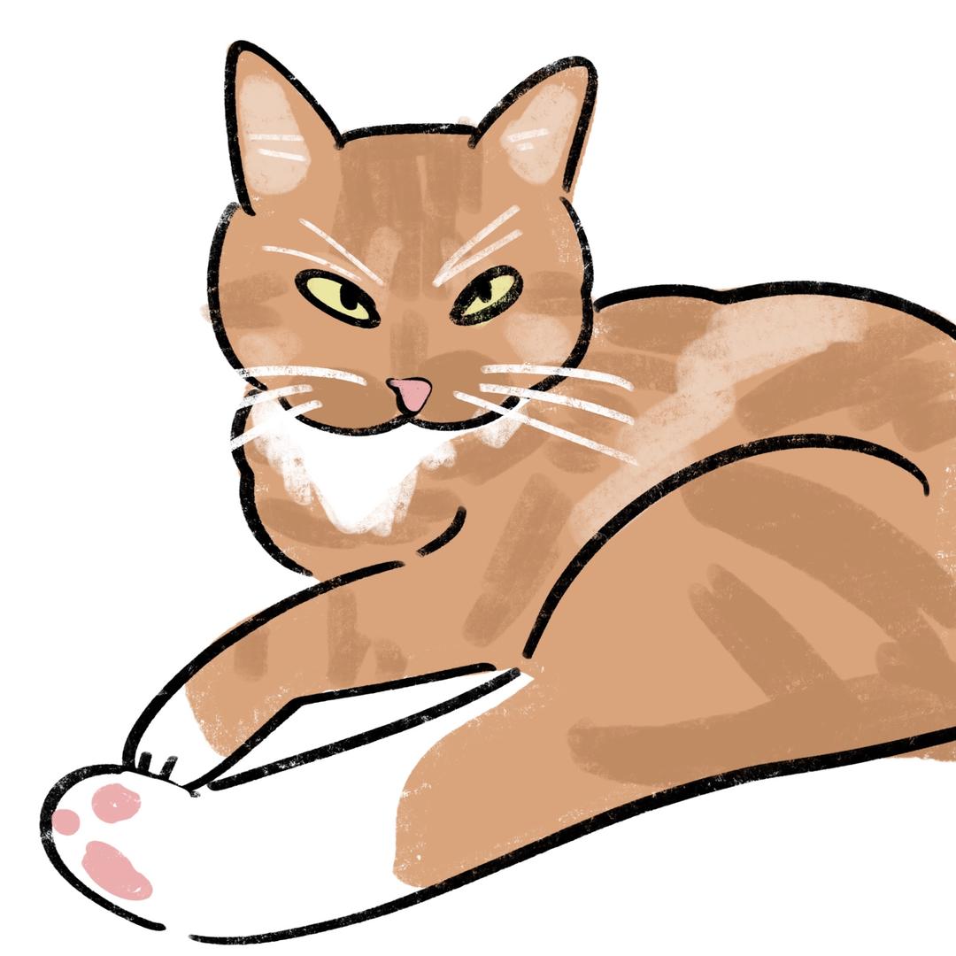 凶手是橘白色的