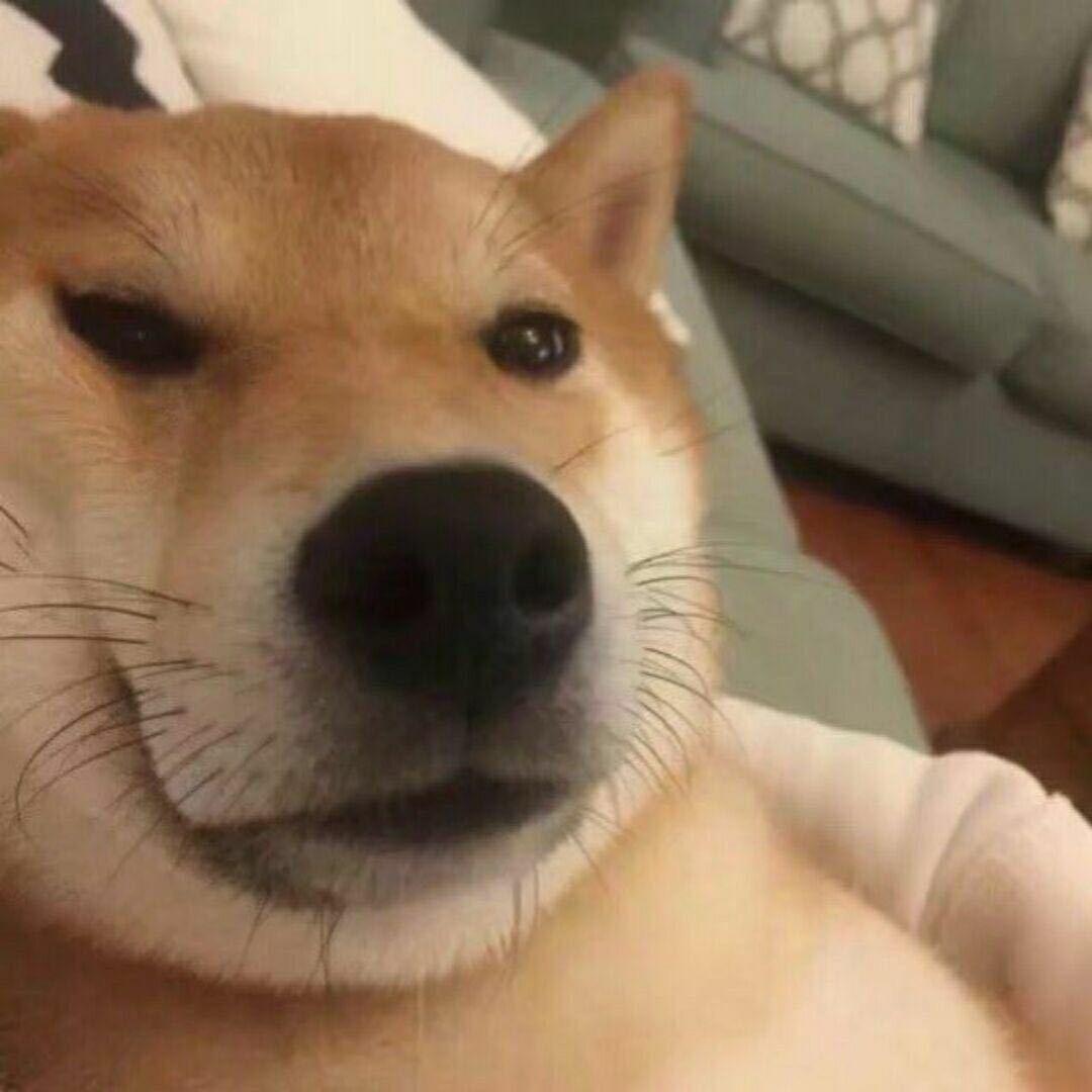 发现好车