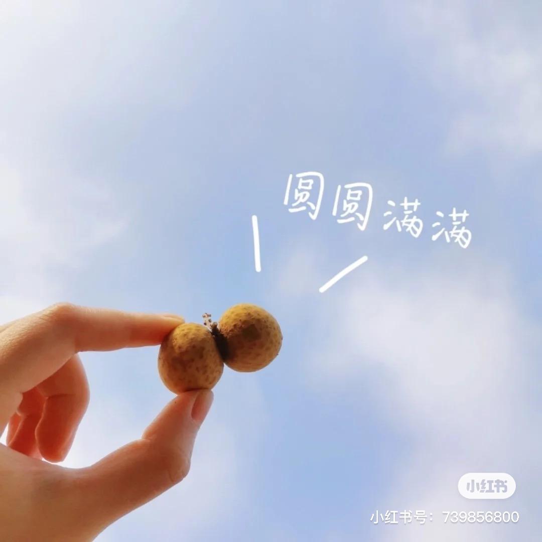 L.太太