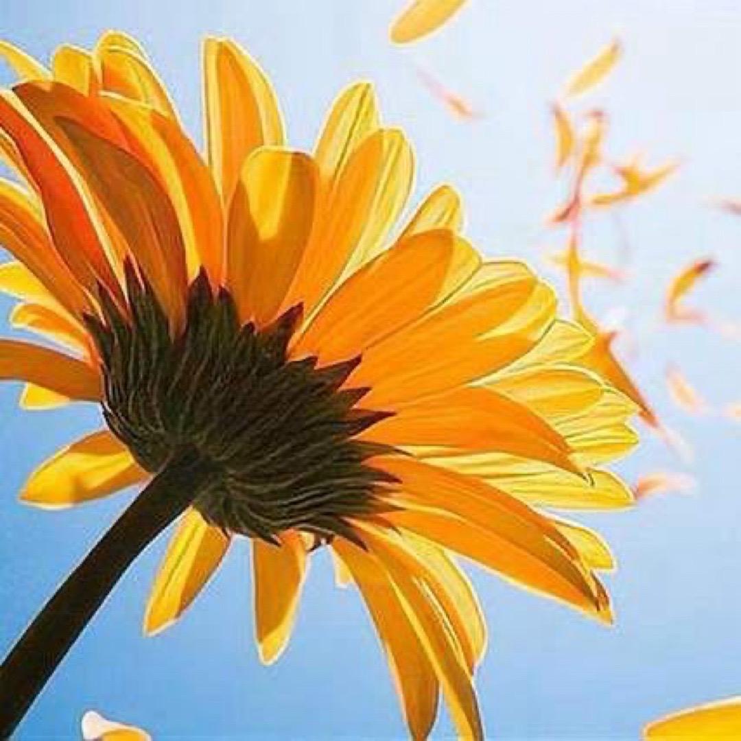 洛阳瑞恒地坪～姚姚