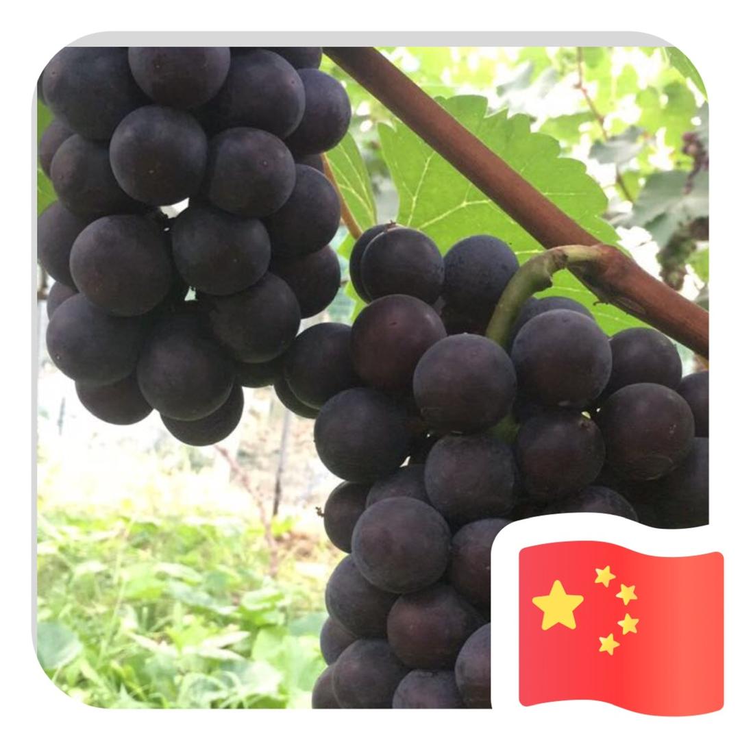 好人一生平安