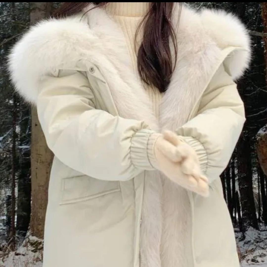 蘑菇