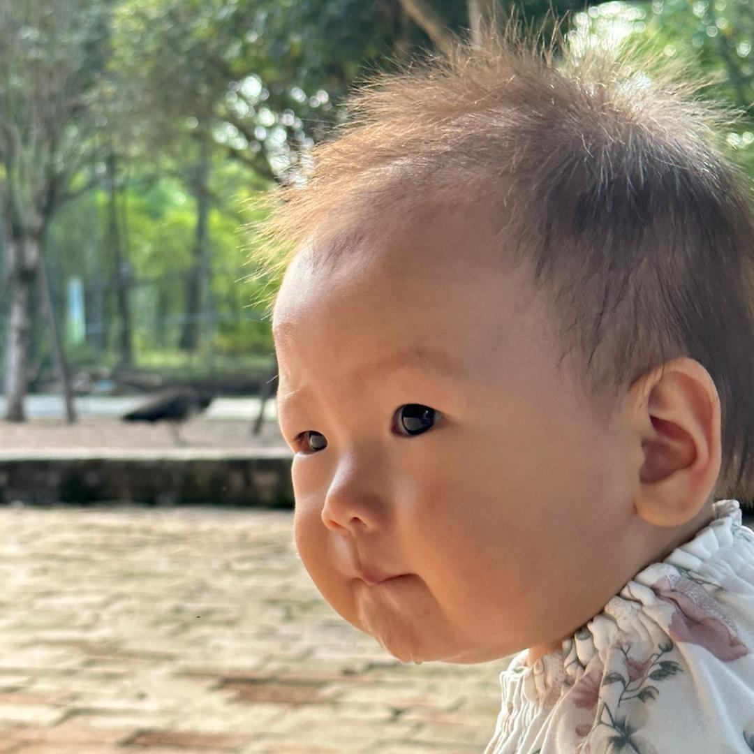 是麓宝呀