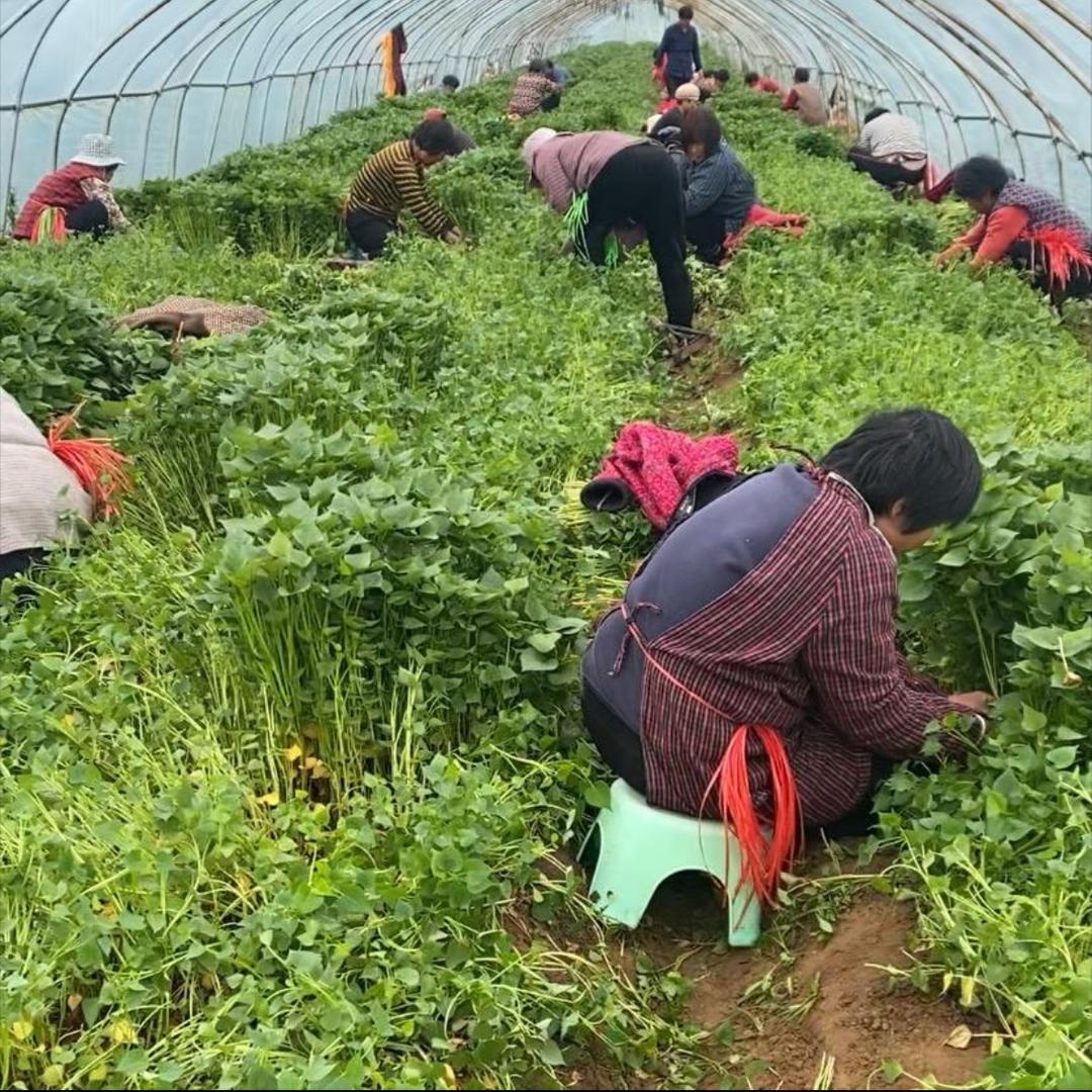 兰山区程景商贸经营中心