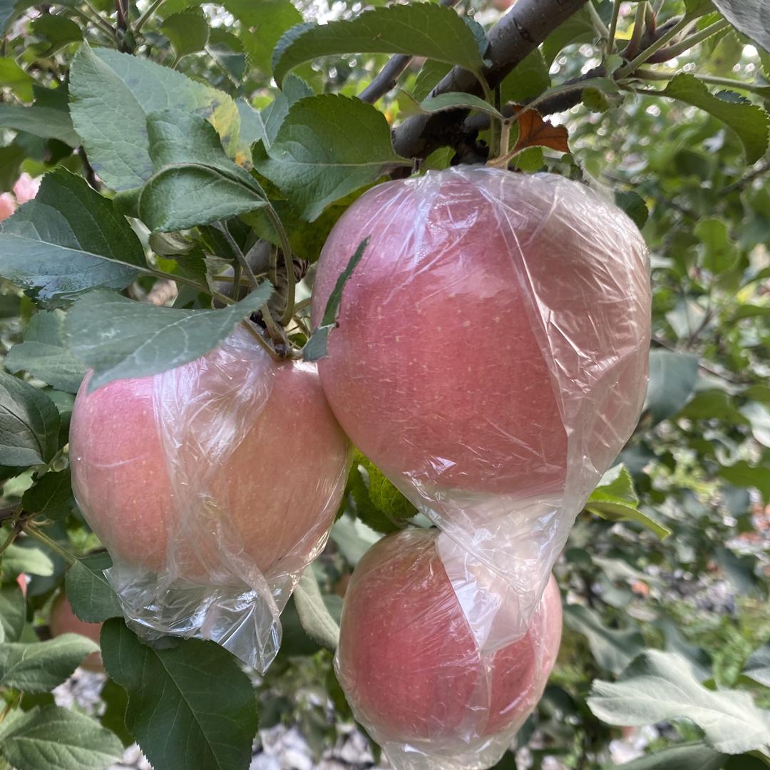 山水田源农产品