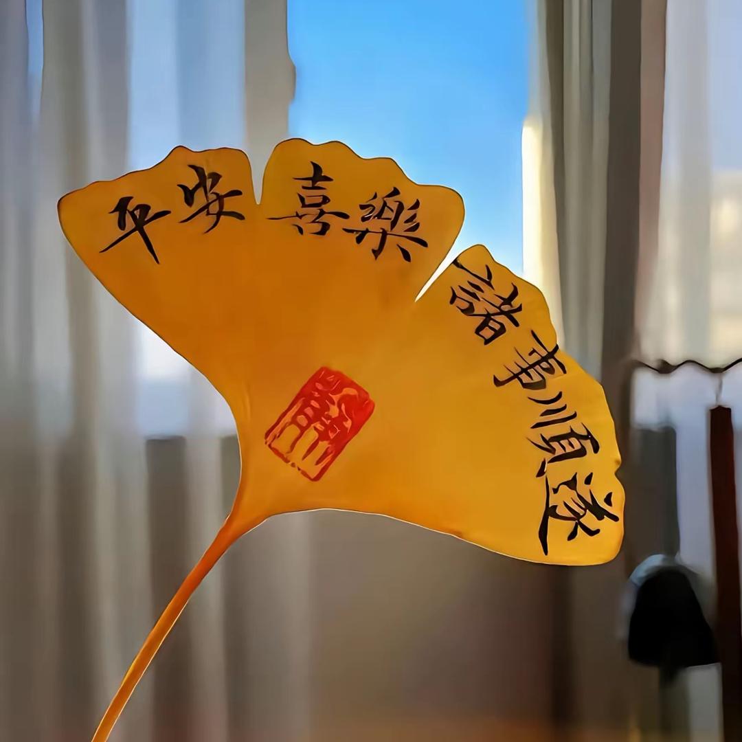 浅浅的心