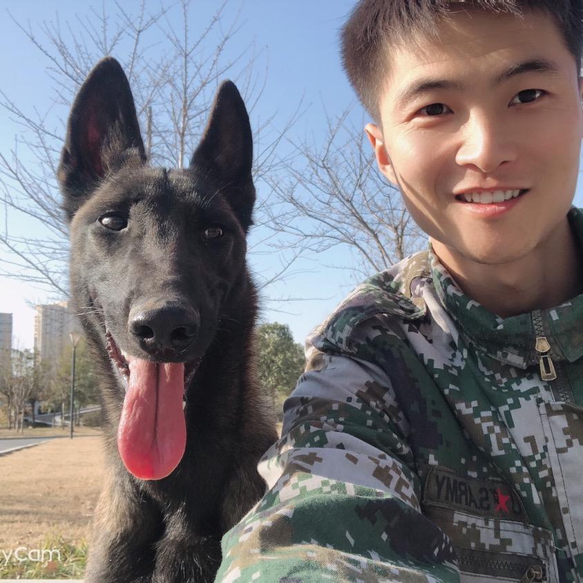 马犬格瑞斯vlog