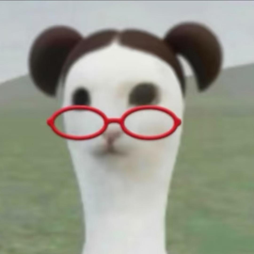 .O椰.