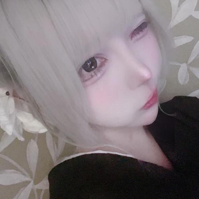夜猫₊⁺🐾₊⁺