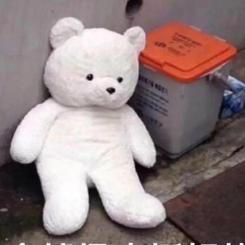 搁浅的枫