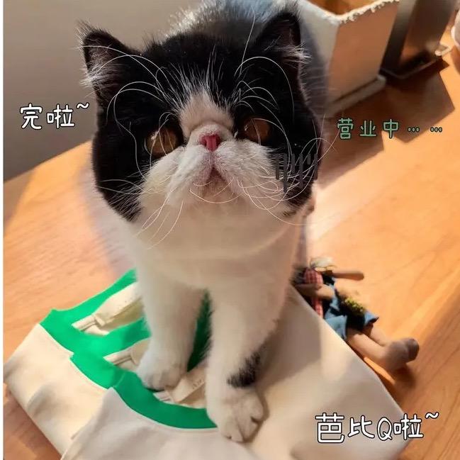 发财喵的旺家日常