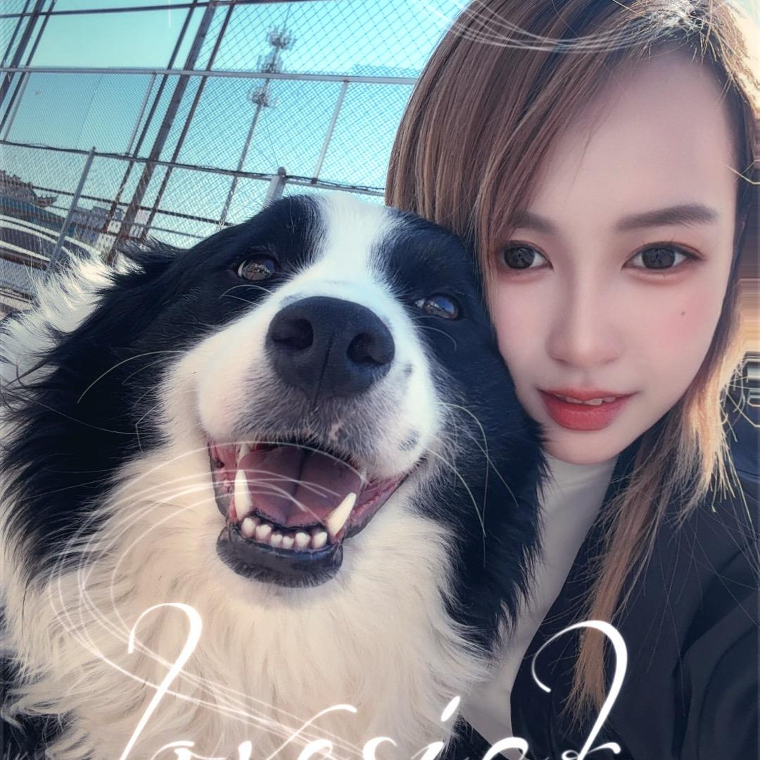玛丽的边牧