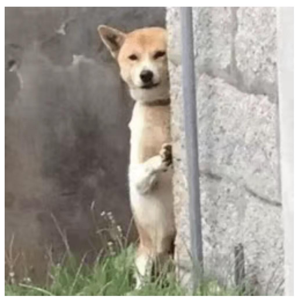 人间清醒😄