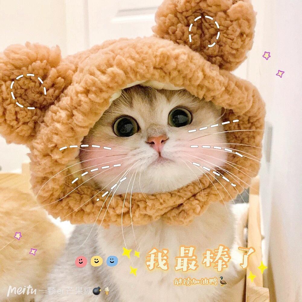 小美子师姐