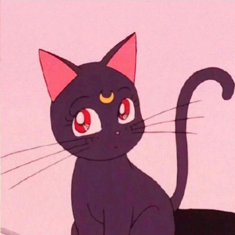 春娇喵 欢禧猫屋