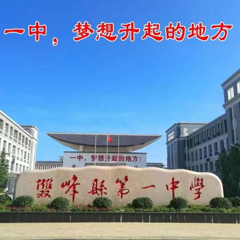 朱老师金开数学