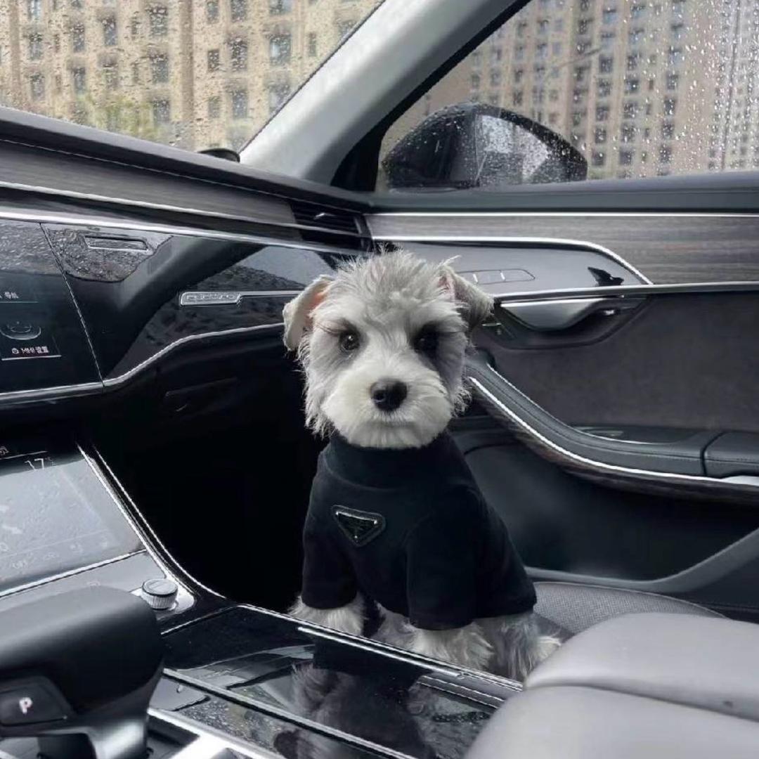 小  吴 ㅤㅤㅤㅤㅤ