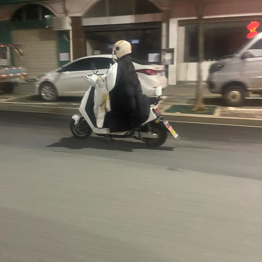 向山行