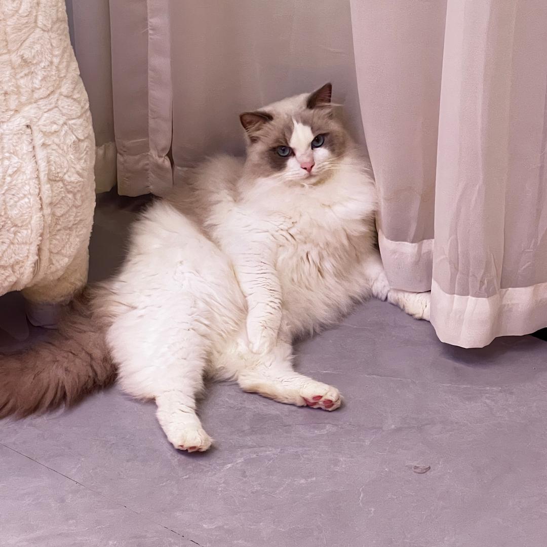 优倍斯特我为奥狂清洁工具专卖店