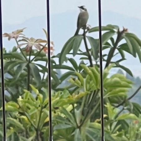 漫步云间