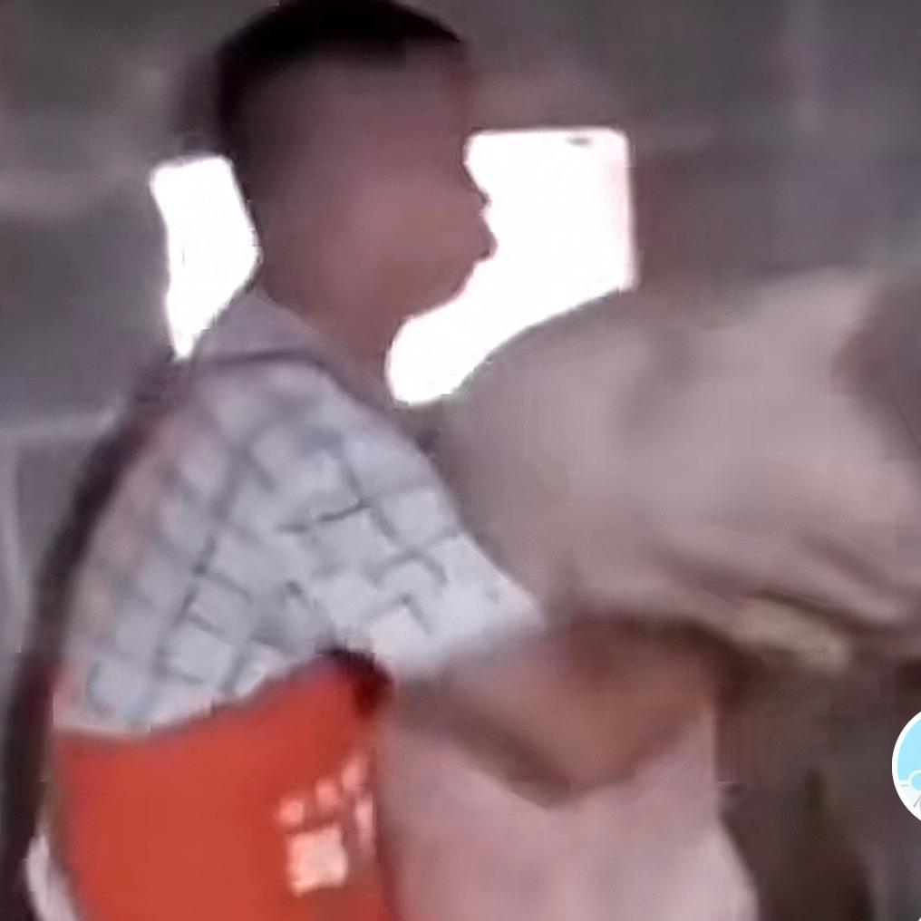 养猪大队大队长