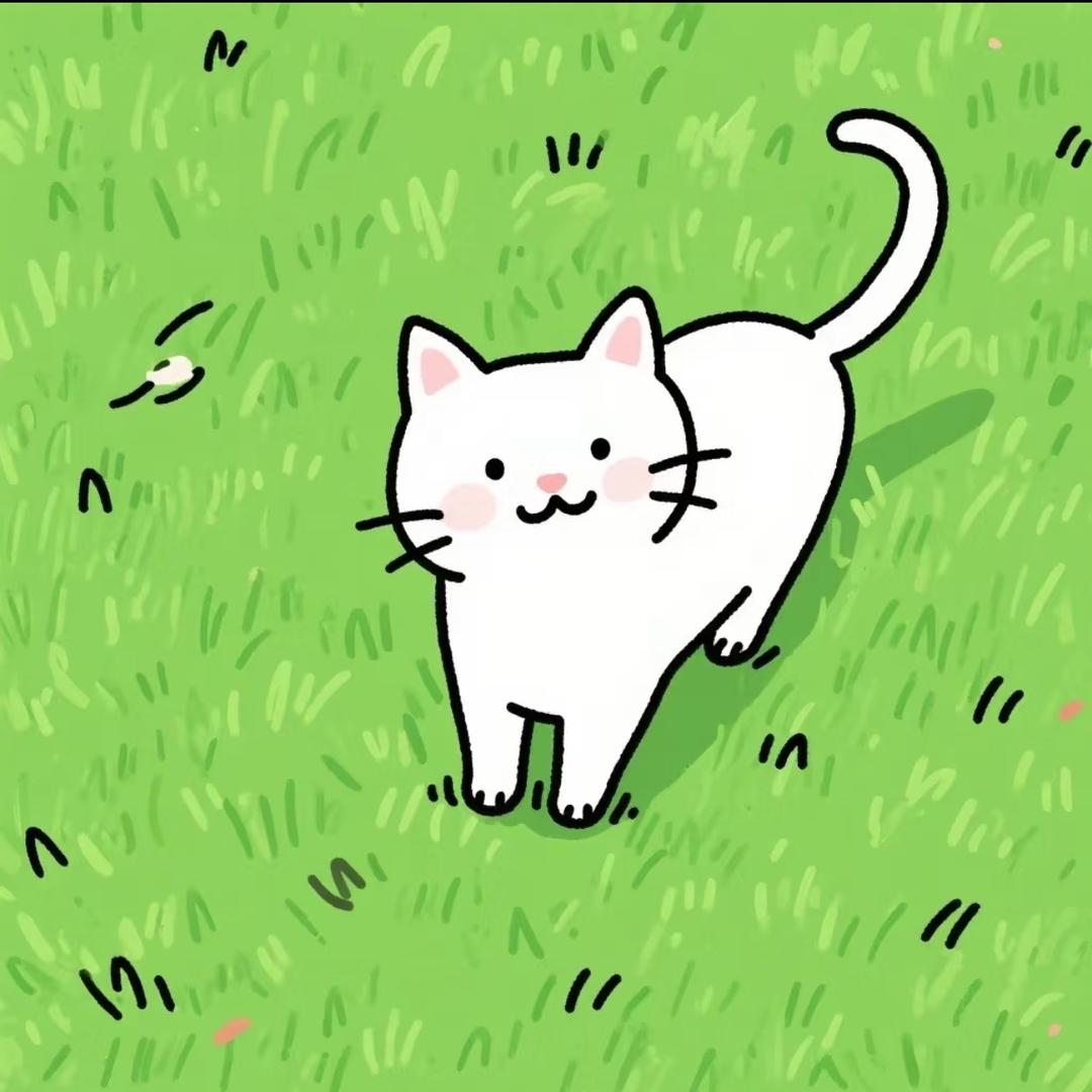我的白菜菌