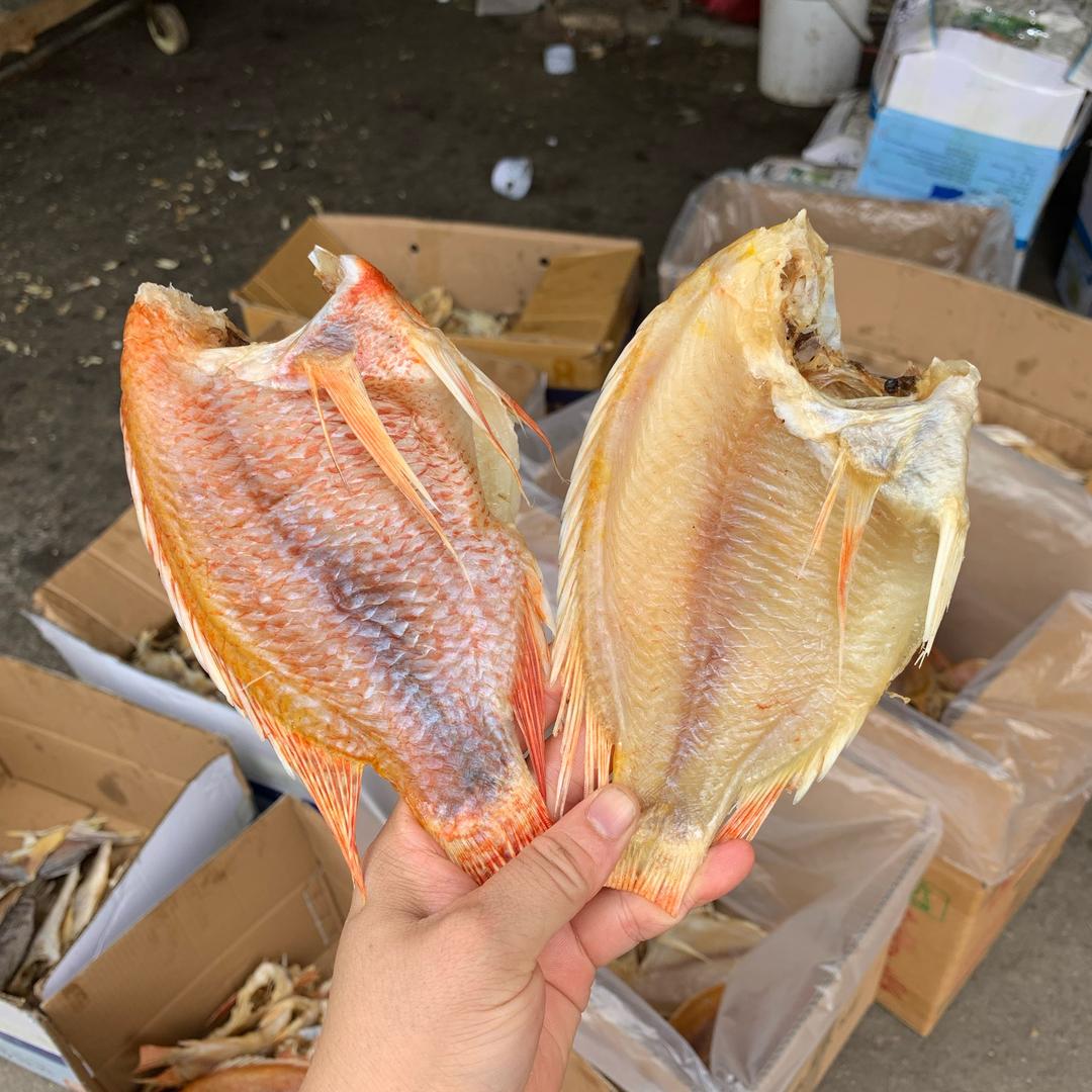 蓬江区国锦商行