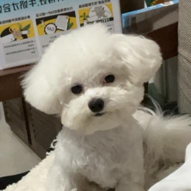 余生
