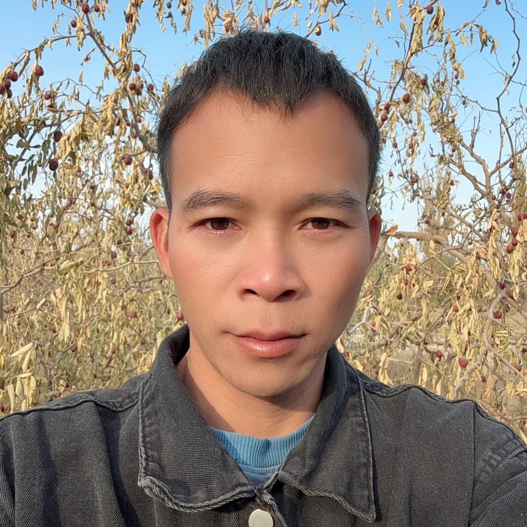 农人阿南在新疆-灰枣产地