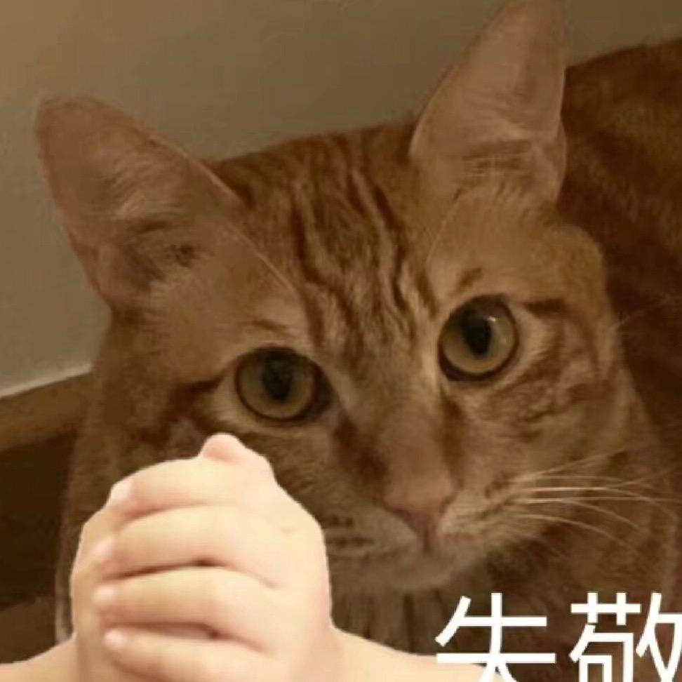 太古掌管猫meme的神