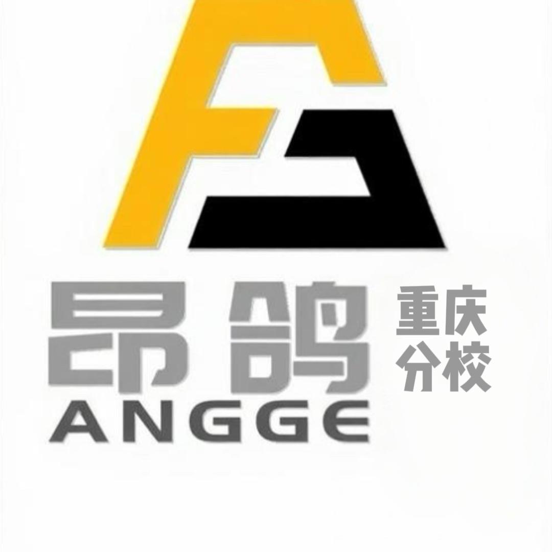 昂鸽无人机重庆分校