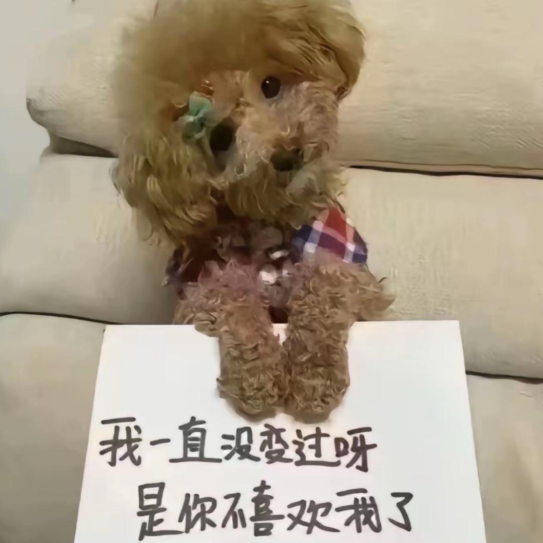 为什么你说离我好远