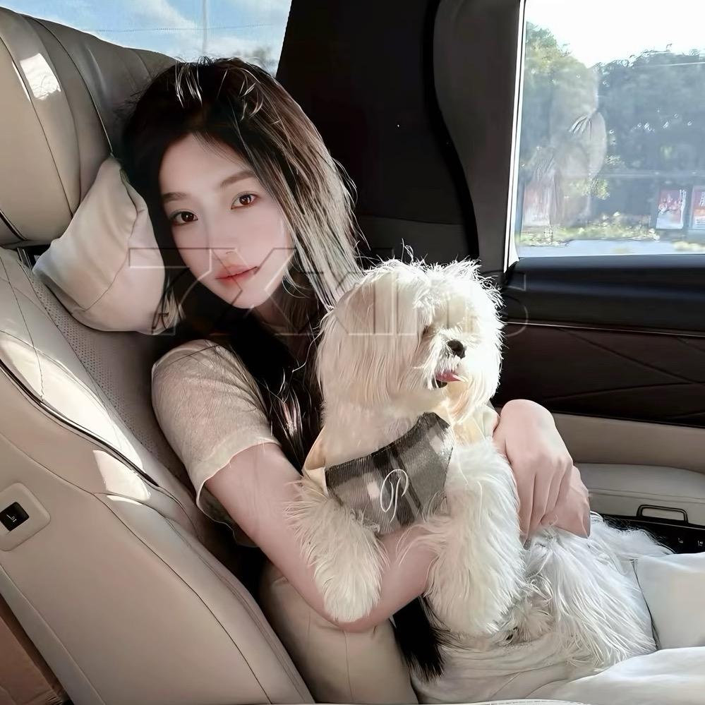 -今天你开心了吗.🧚🏻‍♀️