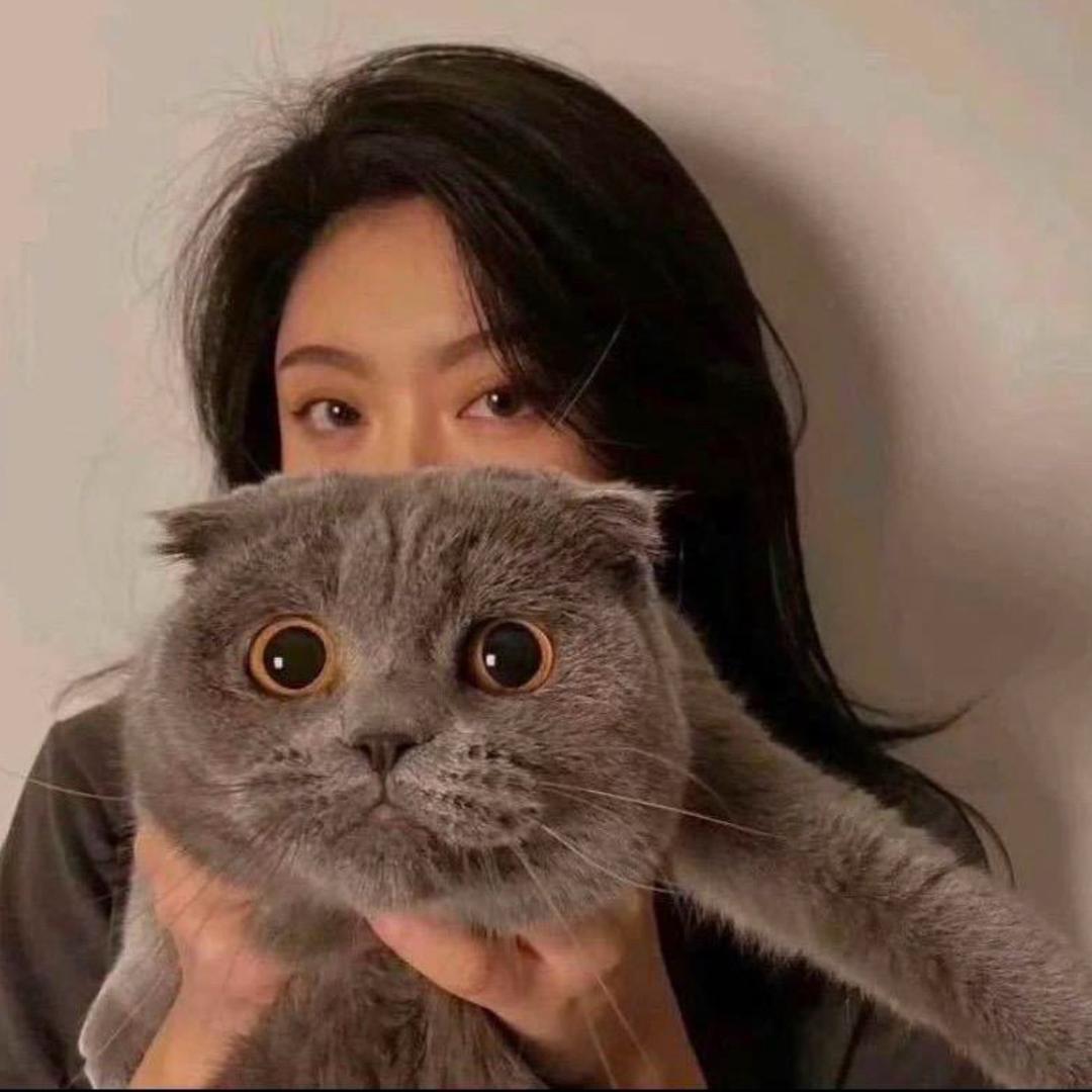 @是小苏