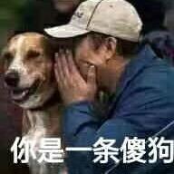 搬运眼球