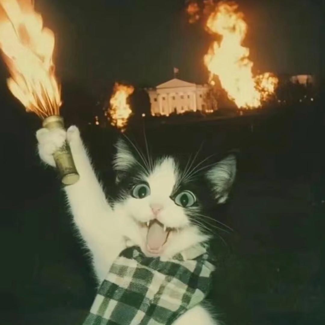 冷不冷（游戏混子版）