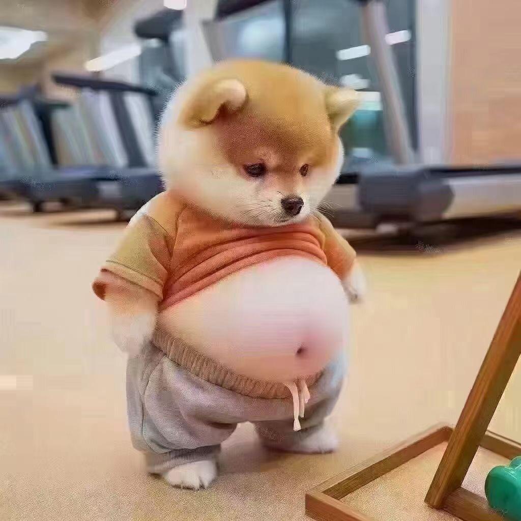 💞偏爱与傲娇💞