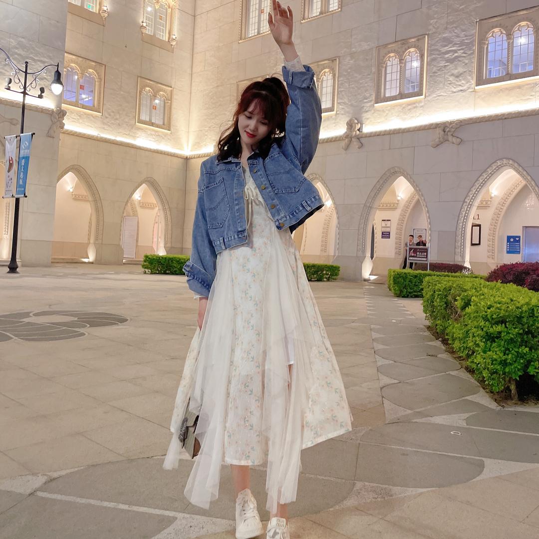 💛小蚊子✨