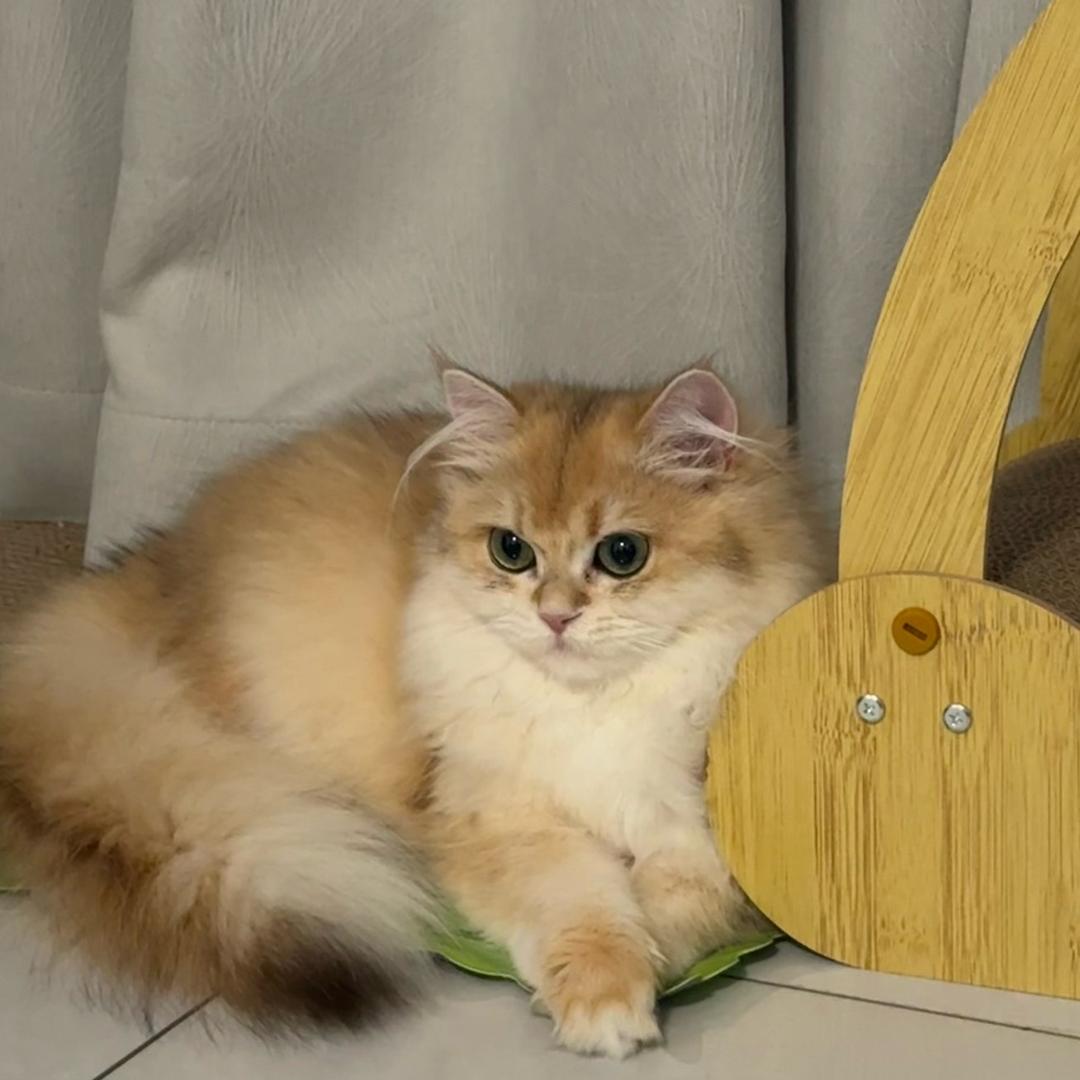 是楠楠呀😈😈😈