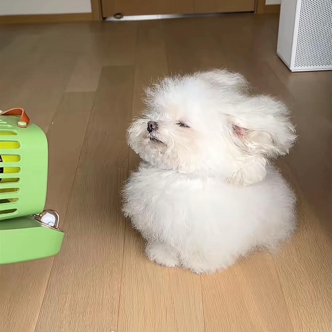 让我发着呆