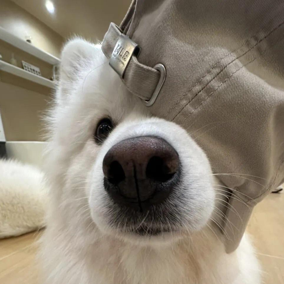 _多喝点水