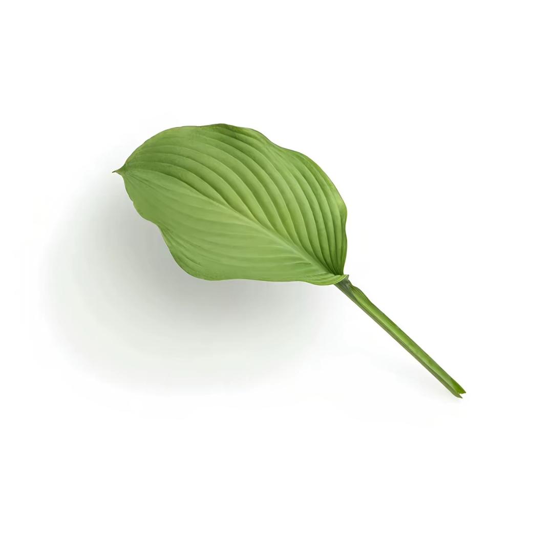 我的妻子还在等我