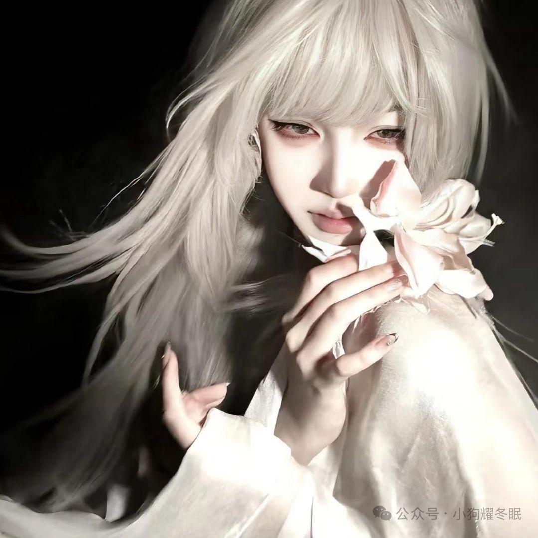 昭昭·🌙