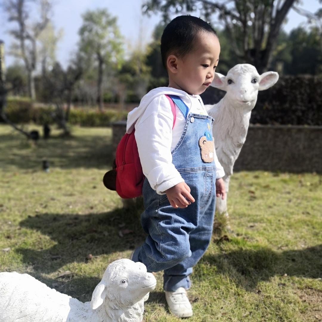 诺诺嘛嘛