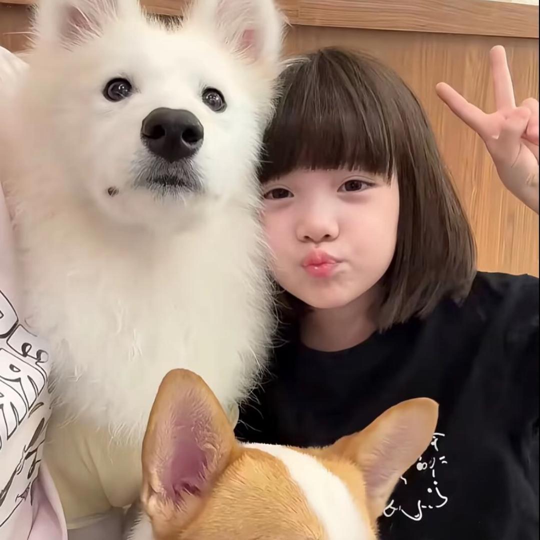 想你一夜又一夜