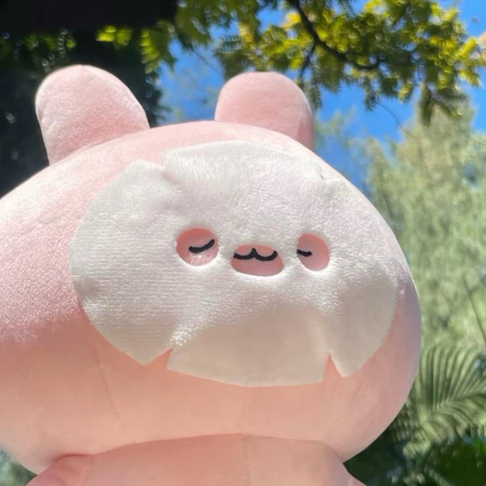 。。。。。。。