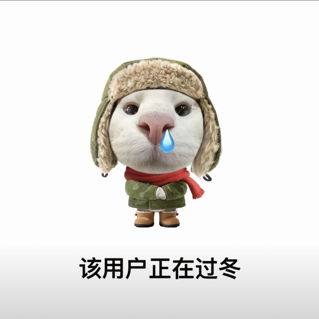 翻斗花园张小丽