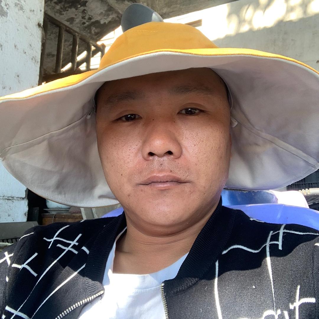 西北狼