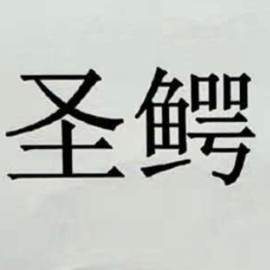 圣鳄数码